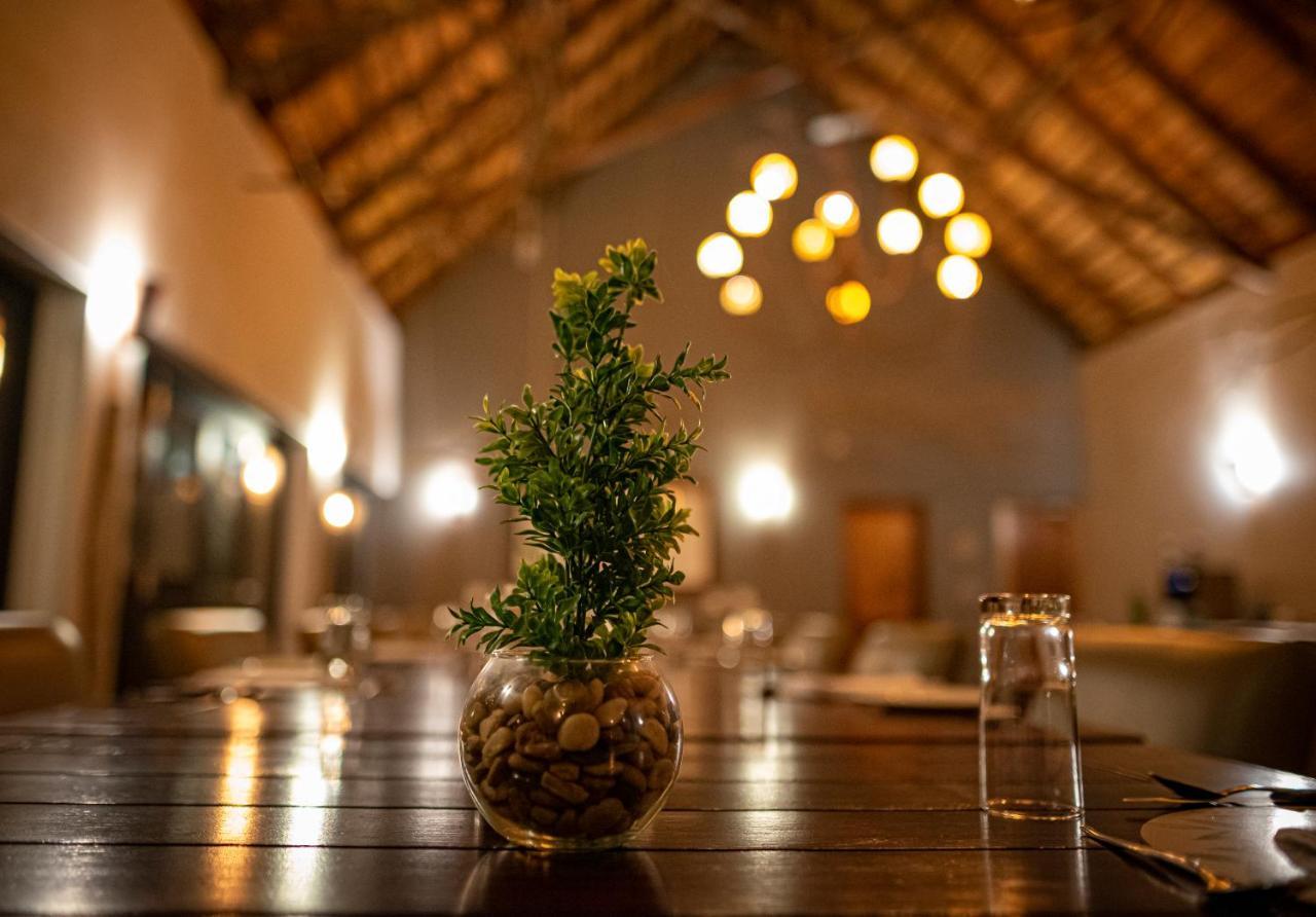 Elephant Plains Game Lodge Саби-Санд-Гейм-Резерв Экстерьер фото