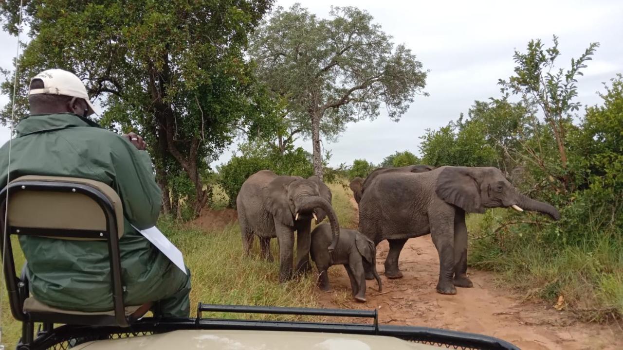 Elephant Plains Game Lodge Саби-Санд-Гейм-Резерв Экстерьер фото