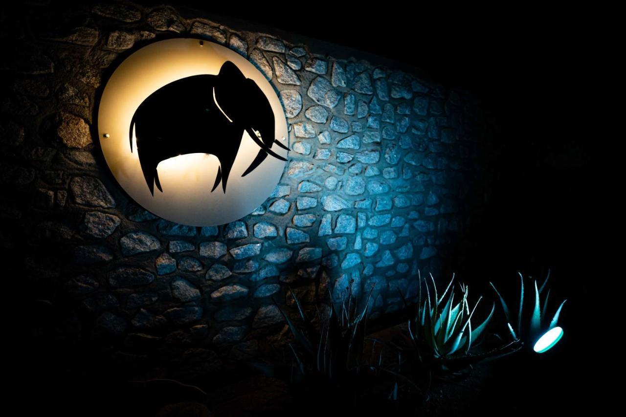 Elephant Plains Game Lodge Саби-Санд-Гейм-Резерв Экстерьер фото