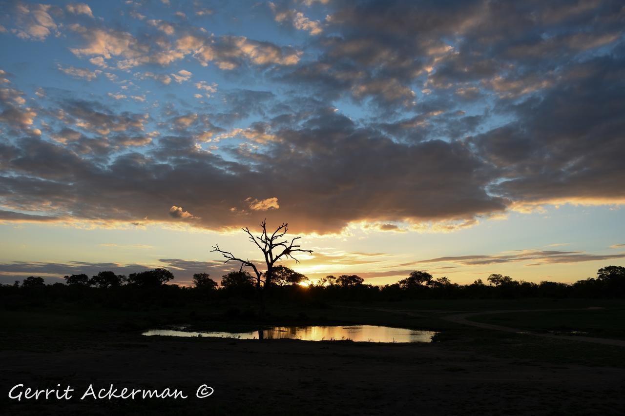 Elephant Plains Game Lodge Саби-Санд-Гейм-Резерв Экстерьер фото